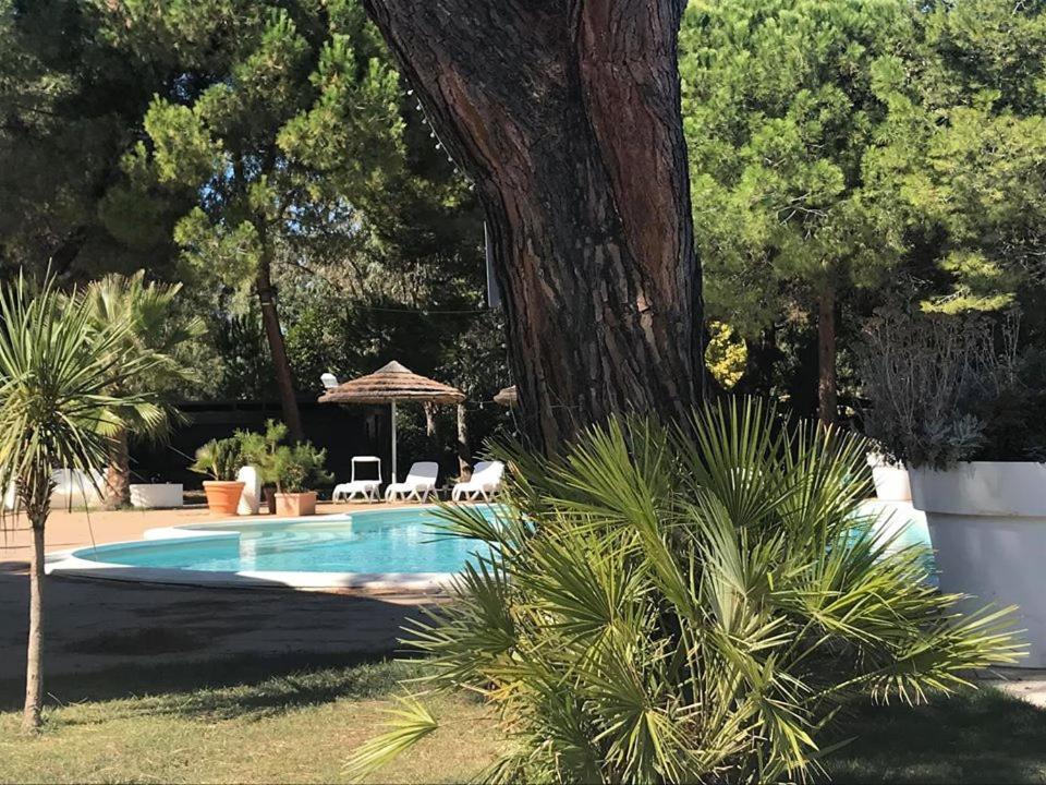 Hotel Perrozzi ヴァスト エクステリア 写真